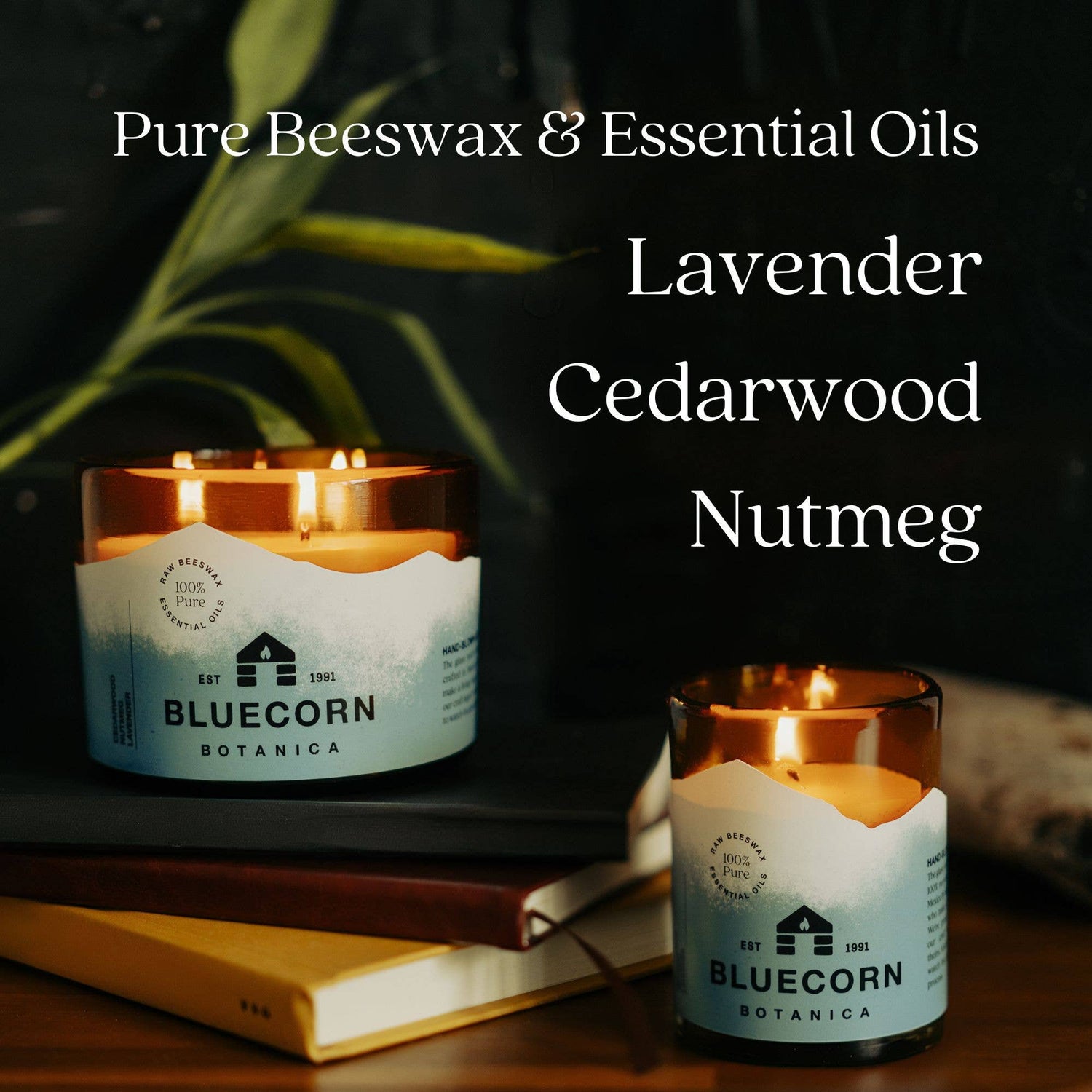 Scented Beeswax Candles - Pure Essential Oils - Blown Glass Holders - MST GoodsBluecorn Candles