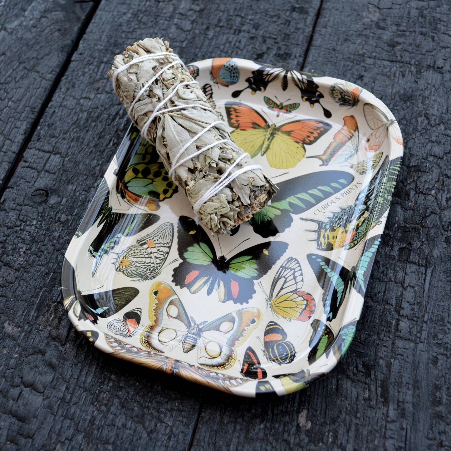 Small Metal Butterfly 1 Tray / Vintage Butterflies Dish - MST GoodsCurious Prints
