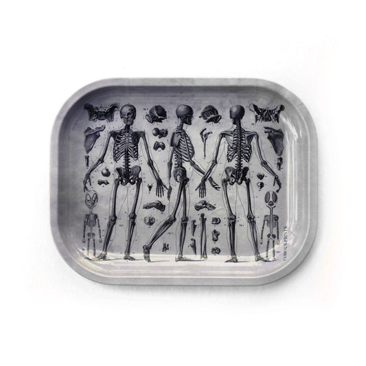 Small Metal Skeleton Diagram Trinket Tray / Vintage Anatomy - MST GoodsCurious Prints