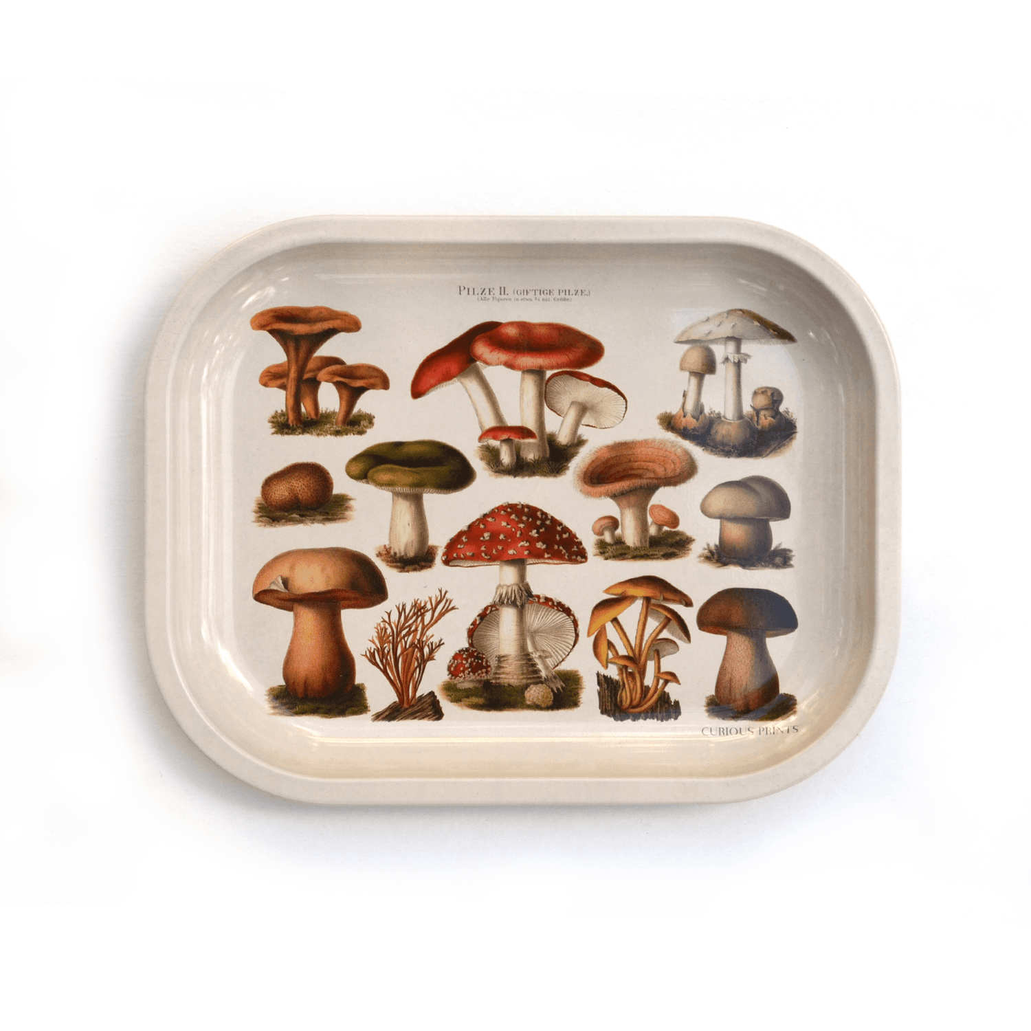 Small Metal Tan Mushroom Ritual Tray / Vintage Illustration - MST GoodsCurious Prints