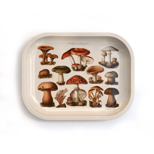 Small Metal Tan Mushroom Ritual Tray / Vintage Illustration - MST GoodsCurious Prints