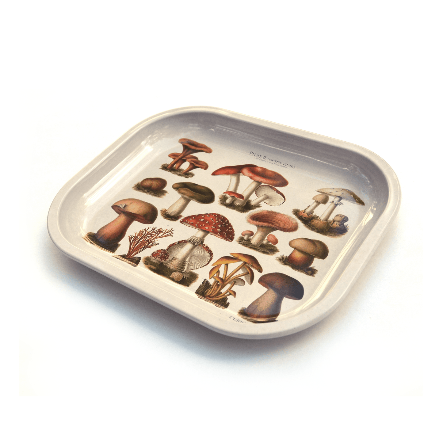 Small Metal Tan Mushroom Ritual Tray / Vintage Illustration - MST GoodsCurious Prints
