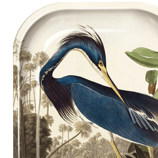 Small Metal Vintage Audubon Louisiana Heron Trinket Tray - MST GoodsCurious Prints