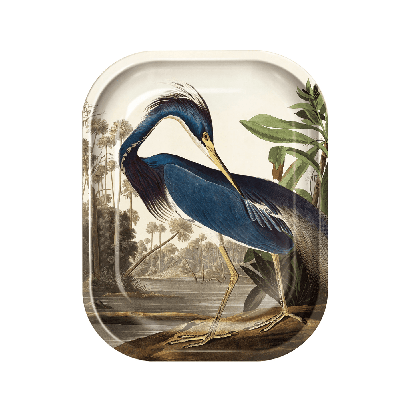 Small Metal Vintage Audubon Louisiana Heron Trinket Tray - MST GoodsCurious Prints