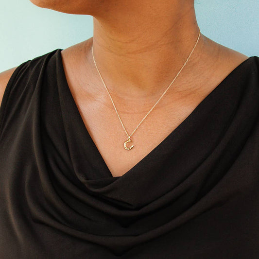 Tiny Gold Horseshoe Necklace - MST GoodsOrnamental Things