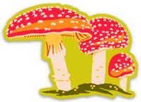 Toadstool Mushroom Sticker - MST GoodsCaroline Clark