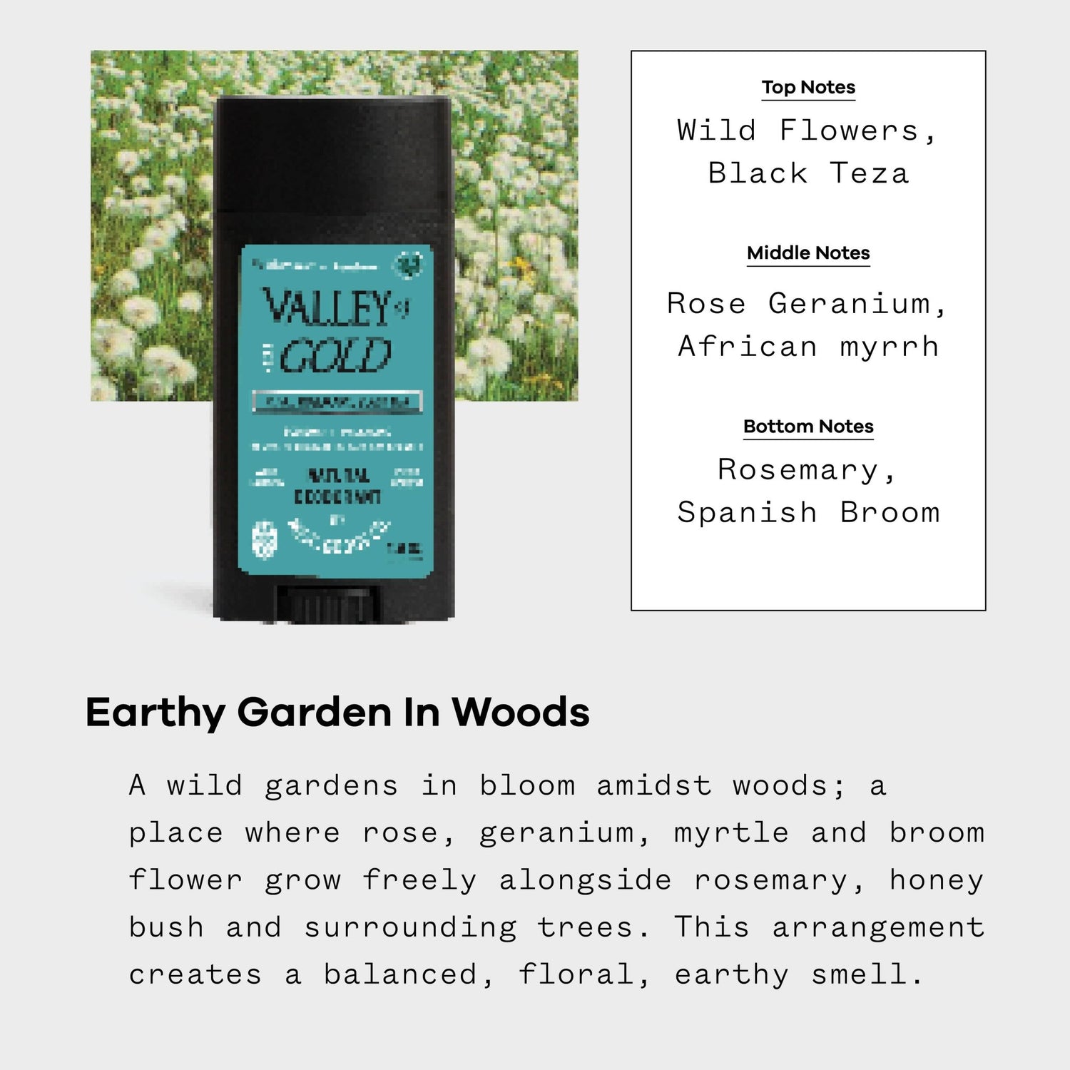 Valley of Gold Natural Deodorant | No Aluminum or Parabens - MST GoodsMisc Goods Co.