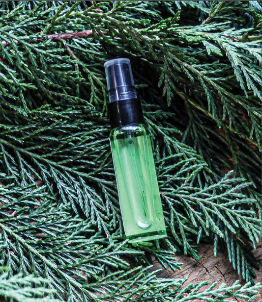 Winter Fir Travel Fragrance - MST GoodsBarnaby Black