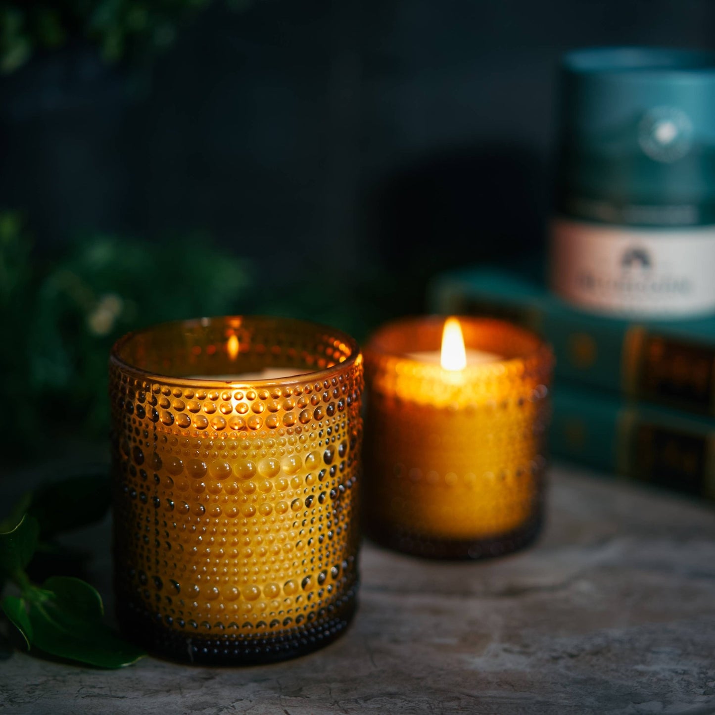 Woodsy Pine Scented Candle – Vegan Coconut Wax & Clean Fragrance - MST GoodsBluecorn Candles
