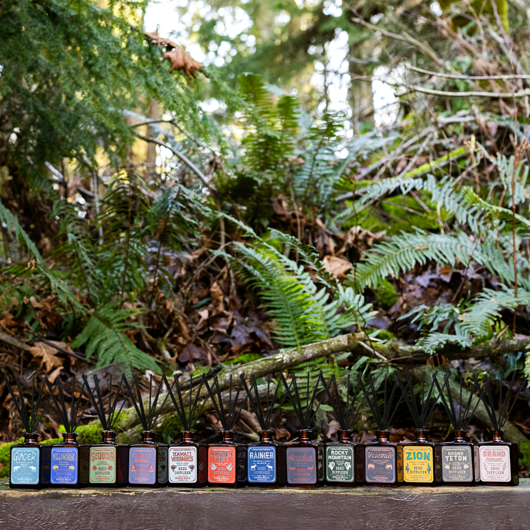 Yellowstone National Park Reed Diffuser - MST GoodsGood & Well Supply Co.