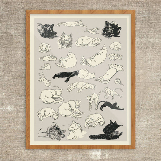11'' x 14'' Cats Relaxing Print
