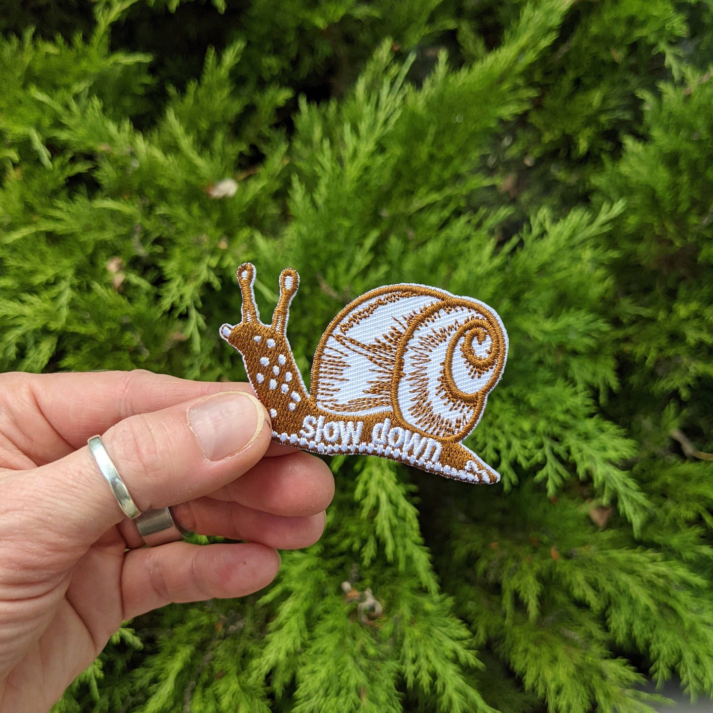 patch | slow down snail