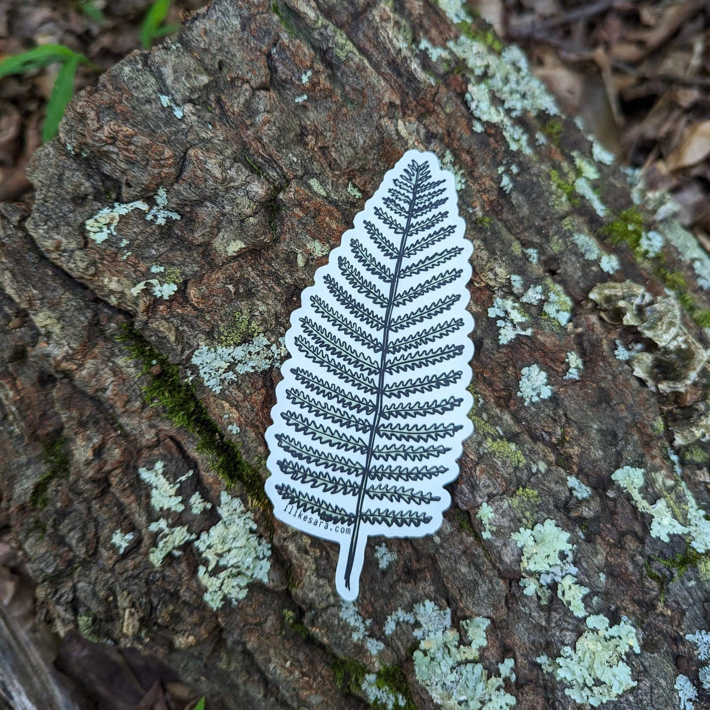 sticker | wood fern