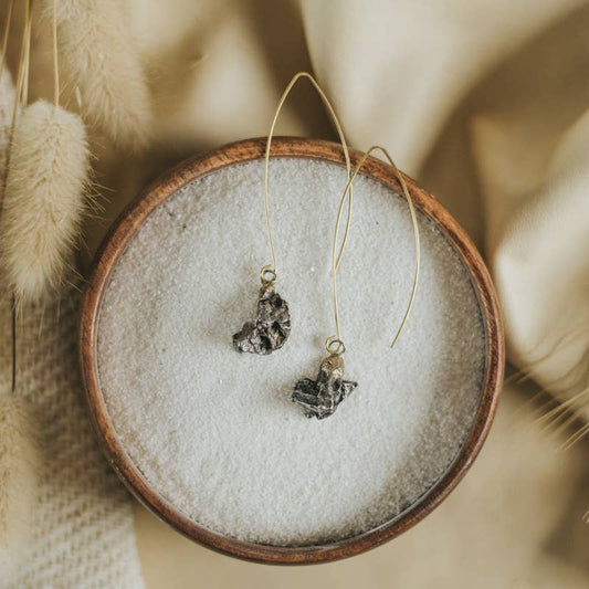 Meteorite Earrings