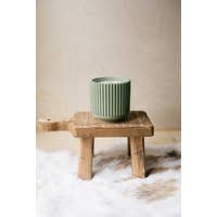 Tahoma - Green Foliage + Vetiver Soy Wax Cement Vessel Candle