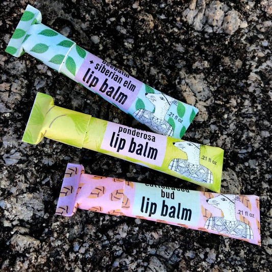 Botanical Lip Balm - MST GoodsLip Balms & TreatmentsDryland Wilds