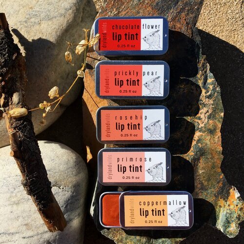Lip Tint - MST GoodsLip GlossDryland Wilds