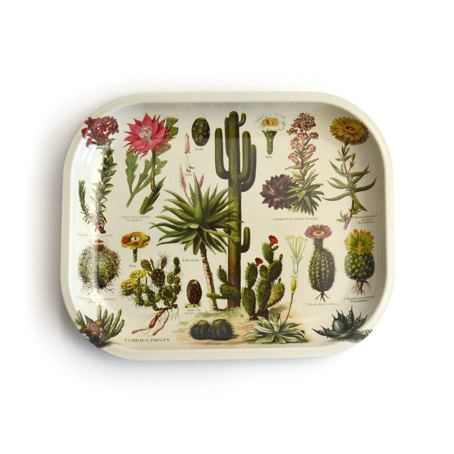 Metal Ritual Tray - MST GoodsCatch allCurious Prints
