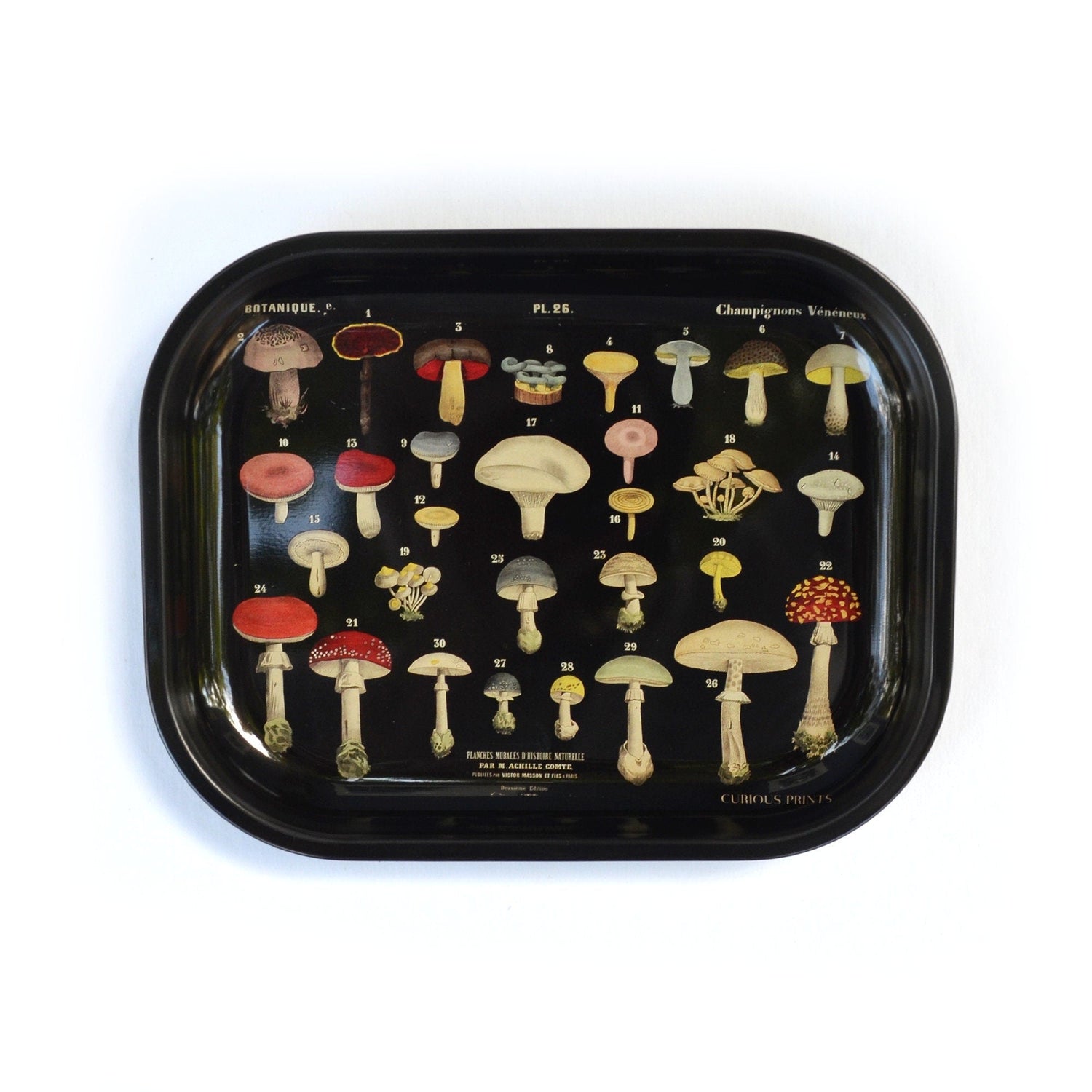 Metal Ritual Tray - MST GoodsCatch allCurious Prints