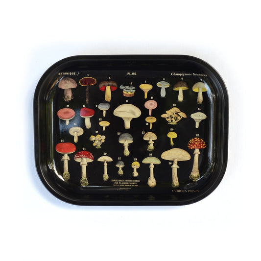 Metal Ritual Tray - MST GoodsCatch allCurious Prints
